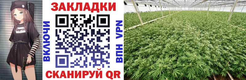 Магазин наркотиков Ветлуга КОКАИН  АМФЕТАМИН  Бошки Шишки  Меф 