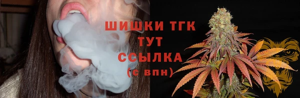 тгк Богородицк