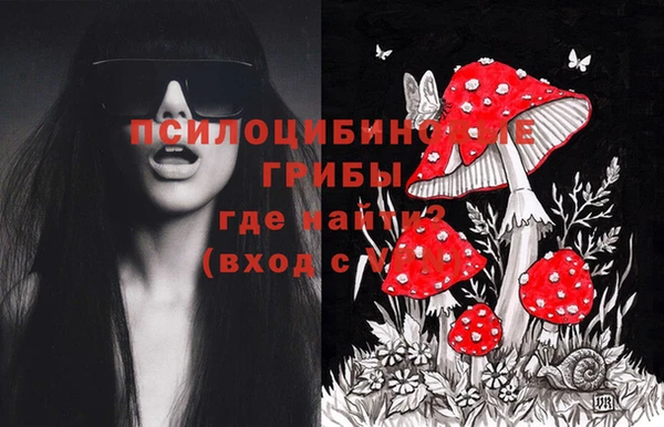 альфа пвп Верхнеуральск