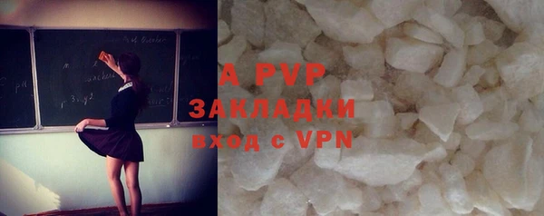apvp Верея