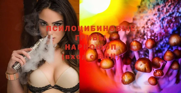 бошки Богданович
